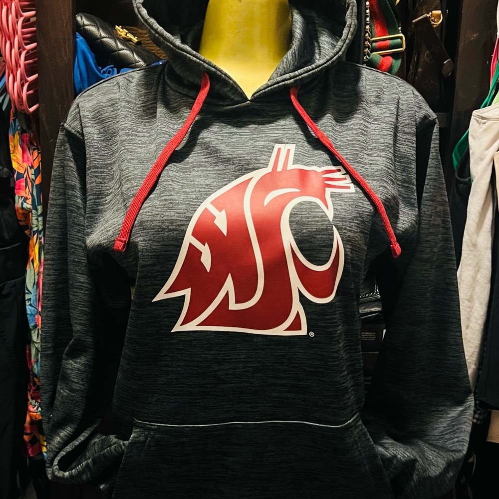 Gray Hoodie with Red Logo